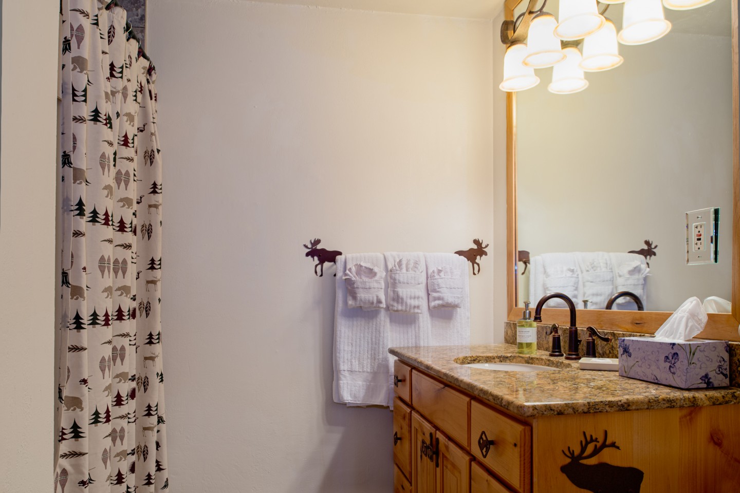 Downstairs bathroom — hit the shower straight from the hot tub